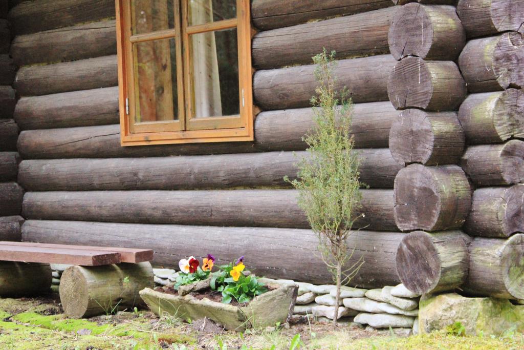 Kuuli Puhkemajad Hotel Tagaranna Szoba fotó