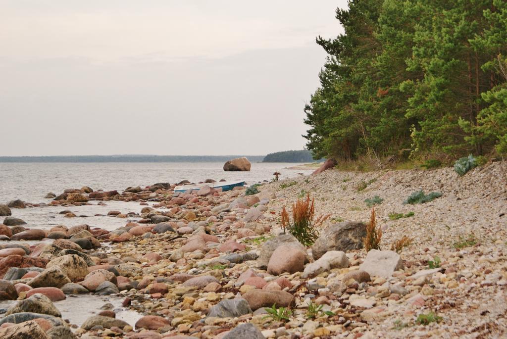 Kuuli Puhkemajad Hotel Tagaranna Kültér fotó